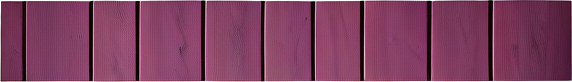 ramps_3.png