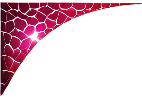 ramps_95.png