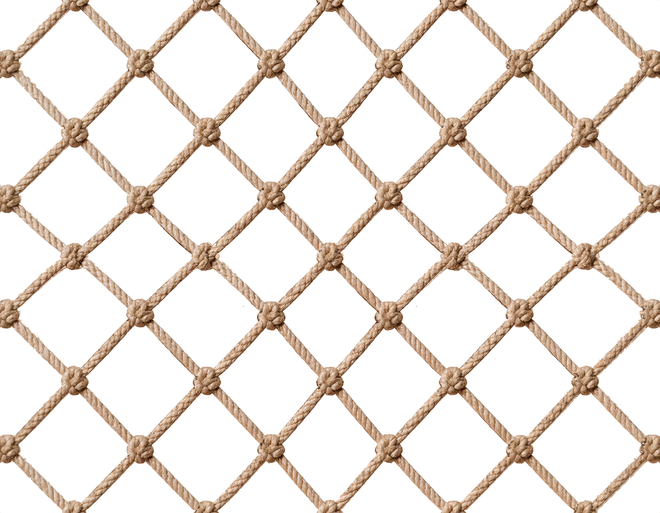 stadium_net (16).png
