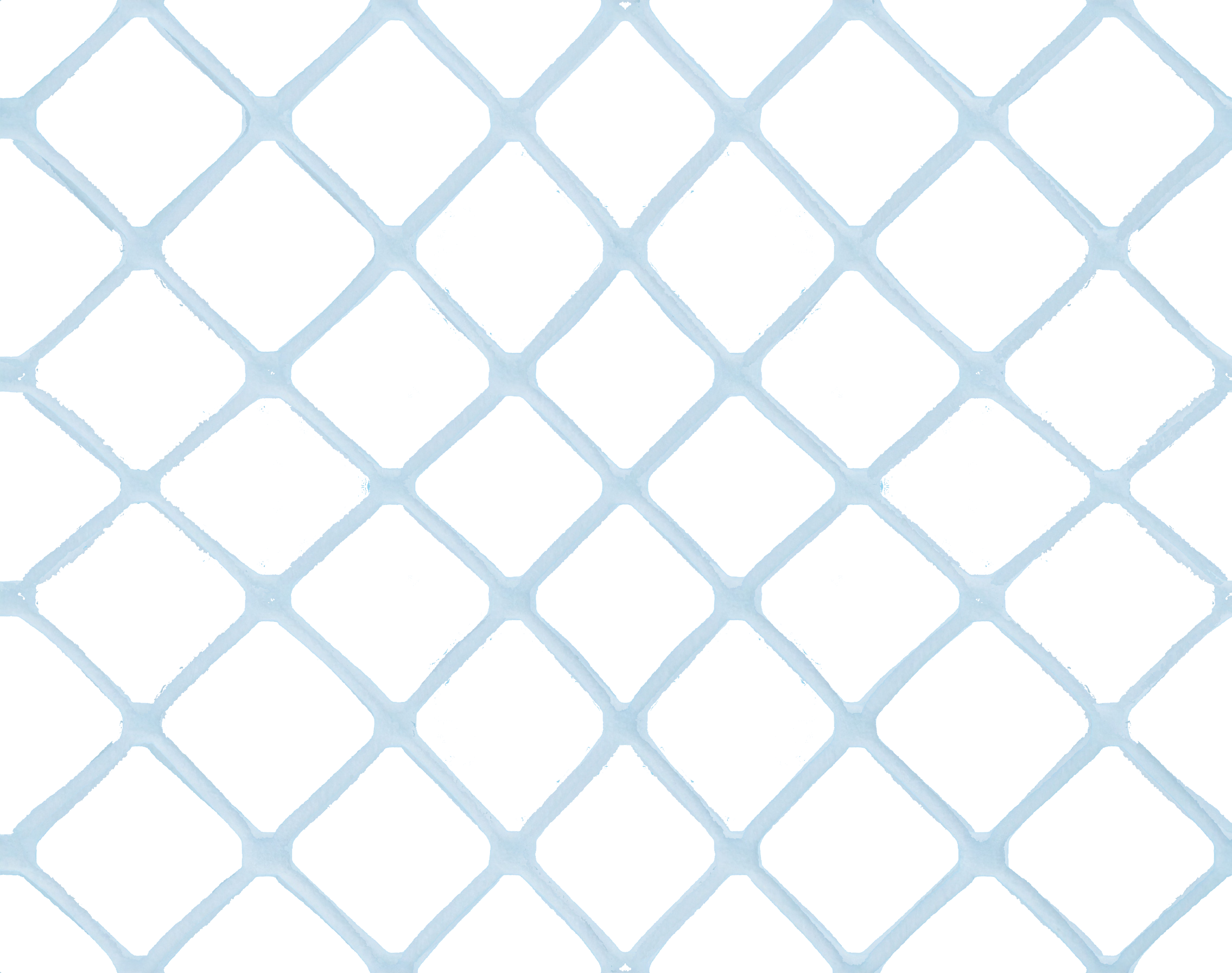 stadium_net (4).png